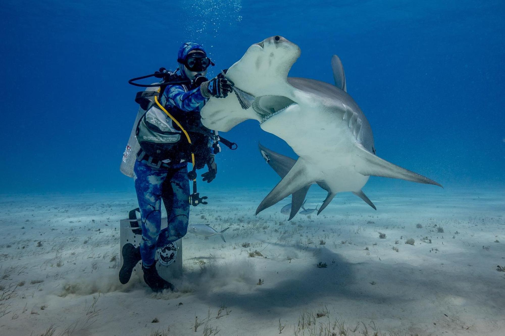 Bimini Big Game Club Resort & Marina อลิซทาวน์ ภายนอก รูปภาพ