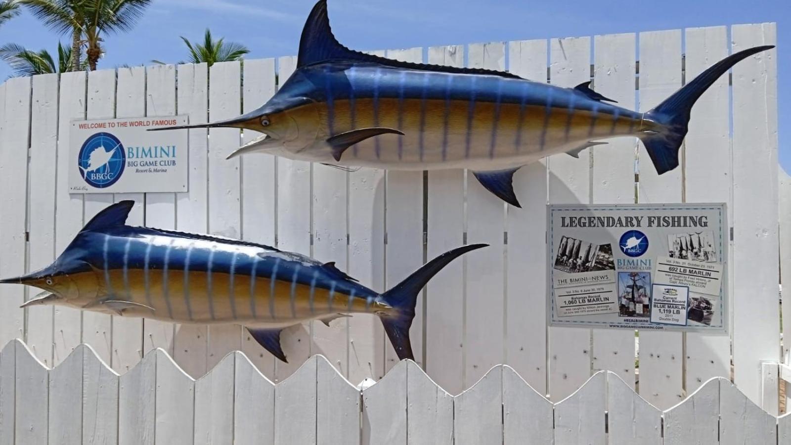 Bimini Big Game Club Resort & Marina อลิซทาวน์ ภายนอก รูปภาพ
