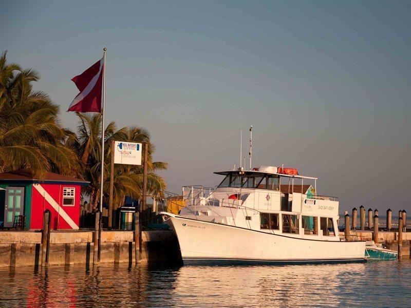 Bimini Big Game Club Resort & Marina อลิซทาวน์ สิ่งอำนวยความสะดวก รูปภาพ